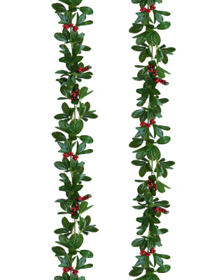 Лиана с мелкими ягодами