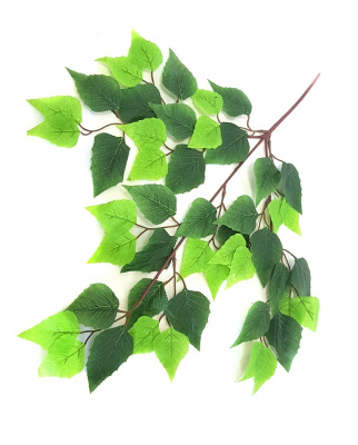 Картинка с сайта