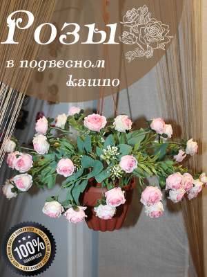 Розы в подвесном кашпо
