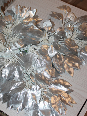 Ветки фикуса