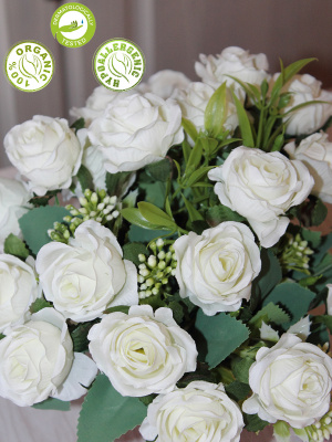 розы в кашпо