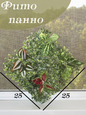 фито панно