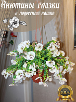 анютины глазки в подвесном кашпо