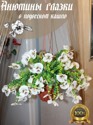 анютины глазки в подвесном кашпо