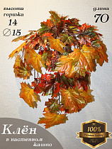 Свисающие кусты в настенном кашпо