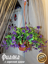 Фиалки в подвесном кашпо