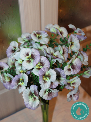 анютины глазки