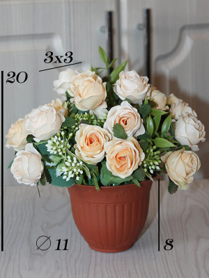 розы в кашпо