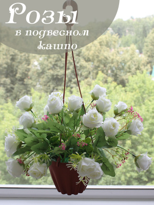 Розы в подвесном кашпо
