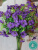 фиалки (букет) фиалки (букет)
