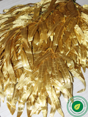 ветки бамбука