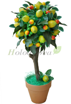 Картинка с сайта