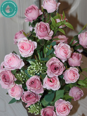 розы в горшке