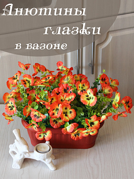 анютины глазки в вазоне