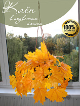 Свисающие кусты в подвесном кашпо