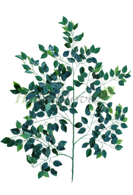 Картинка с сайта