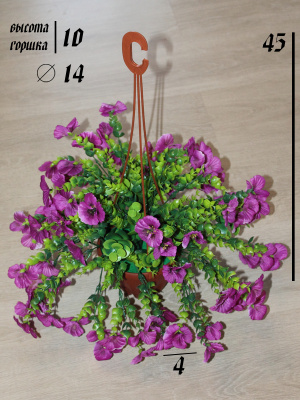 анютины глазки в подвесном кашпо