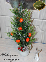 Ель в кашпо