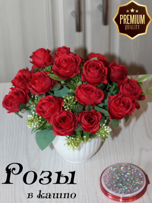 розы в кашпо