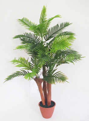 Картинка с сайта