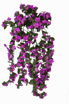 Картинка с сайта