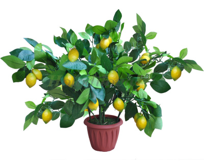 Картинка с сайта