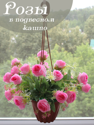 Розы в подвесном кашпо
