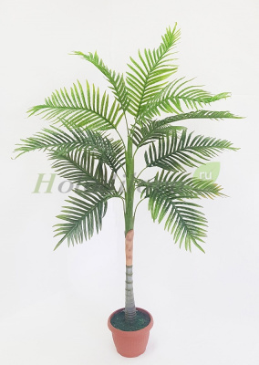 Картинка с сайта