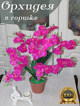 орхидея в кашпо