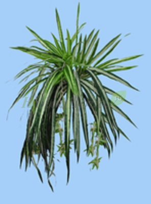 Картинка с сайта