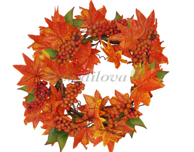 Картинка с сайта