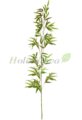 Картинка с сайта