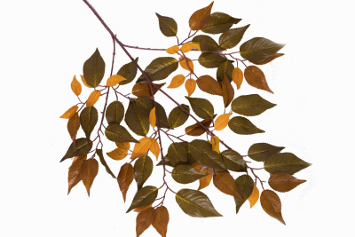 Картинка с сайта