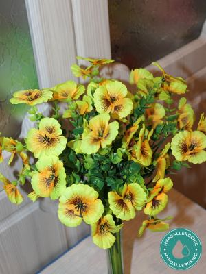 анютины глазки