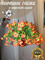 анютины глазки в подвесном кашпо