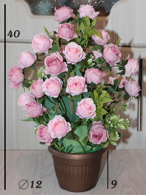 розы в горшке
