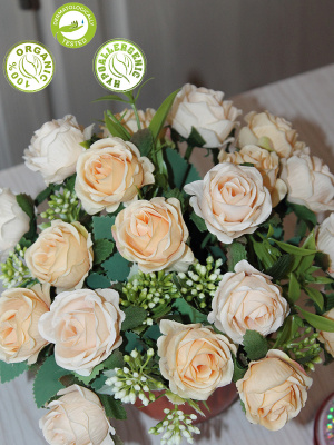 розы в кашпо