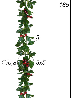 Лиана с мелкими ягодами