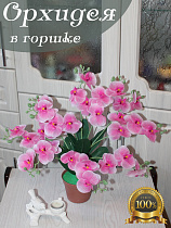 орхидея в кашпо