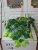 свисающие кусты в подвесном кашпо