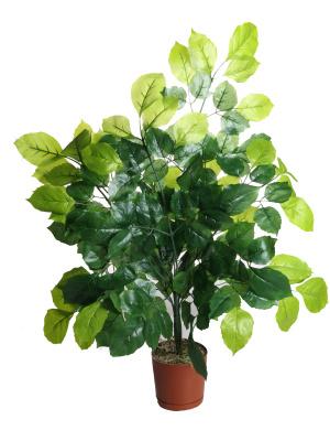 А-47-00-1б