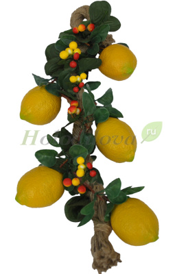 Картинка с сайта