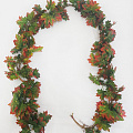 Лианы