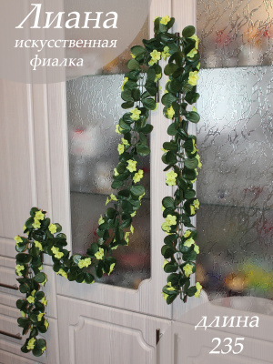 Лиана на цепочке с фиалками
