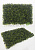 Трава искусственная (самшит)