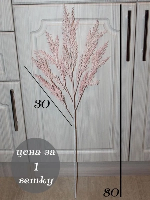 Зелень декоративная