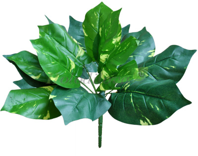 Картинка с сайта