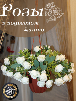 Розы в подвесном кашпо