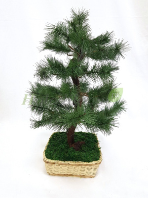 Картинка с сайта