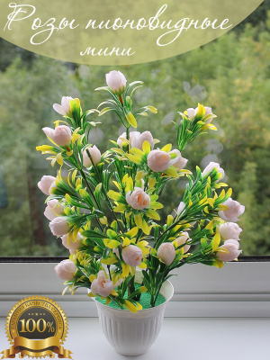 Розы в кашпо 